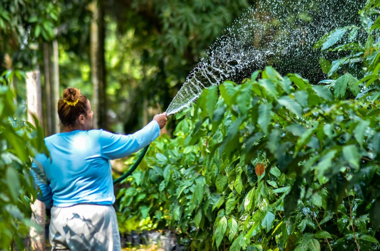 Uchoa Silva / NCS Seap