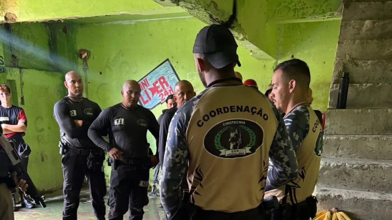 Seap capacita agentes de segurança do Pará, Maranhão e Piauí no uso de cães policiais