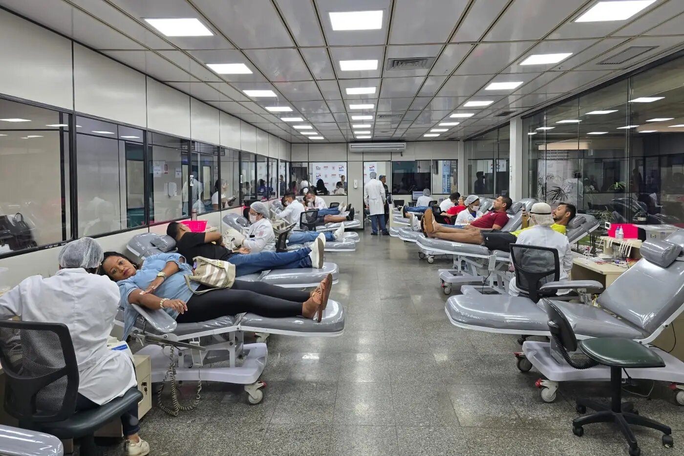 Hemopa registra 674 doações em um único dia no Dia Nacional do Doador de Sangue