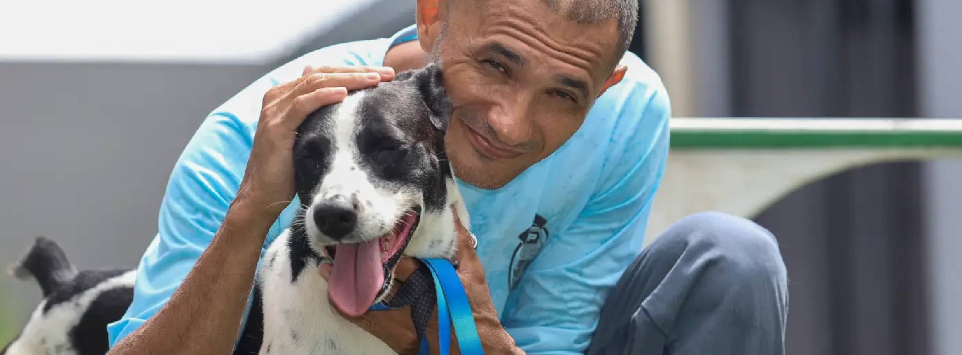 Projeto “ReinserCão” promove reabilitação de animais e capacitação de internos no sistema penitenciário