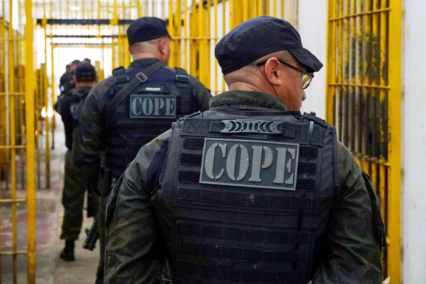 capa