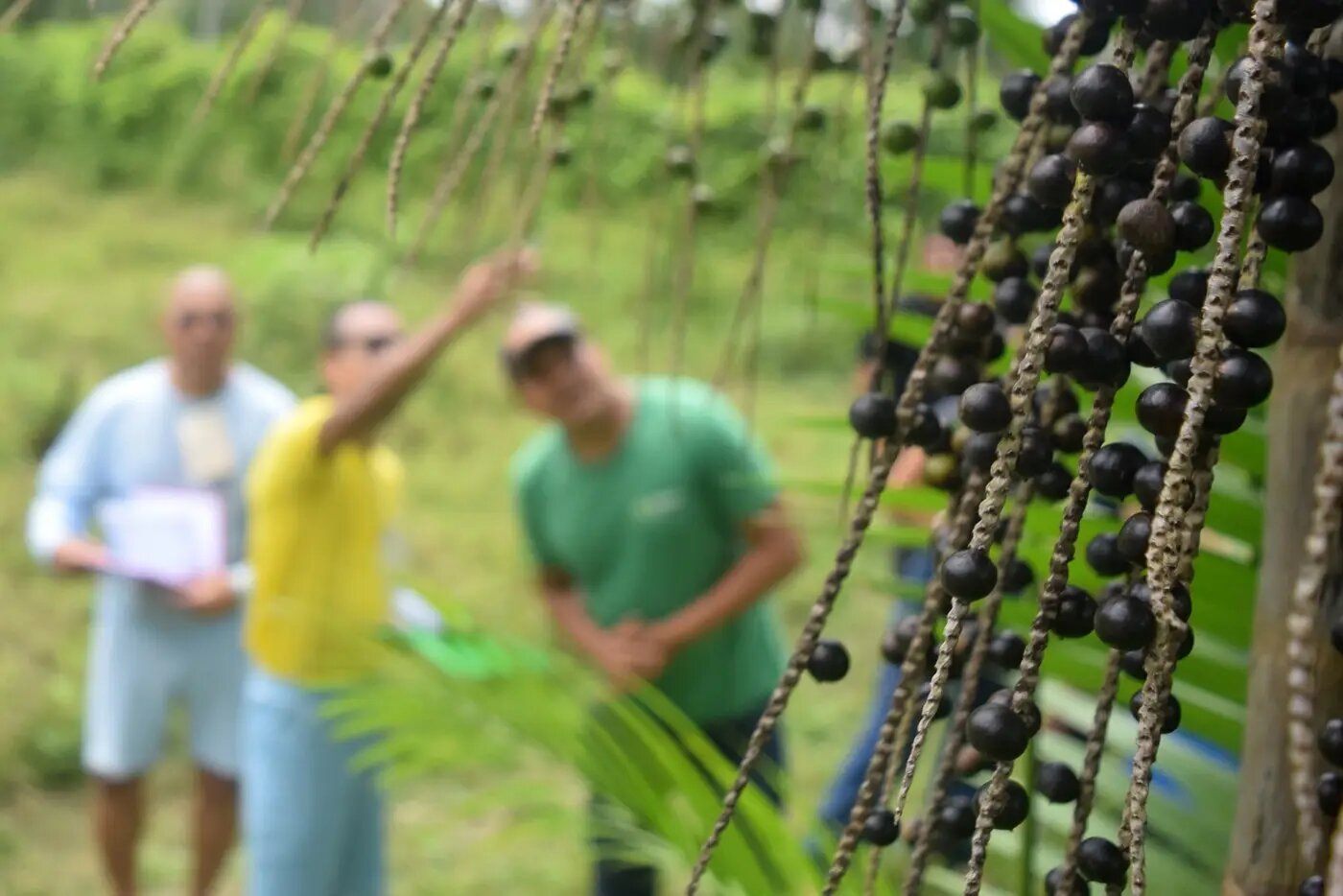 Foto: Elielson Modesto