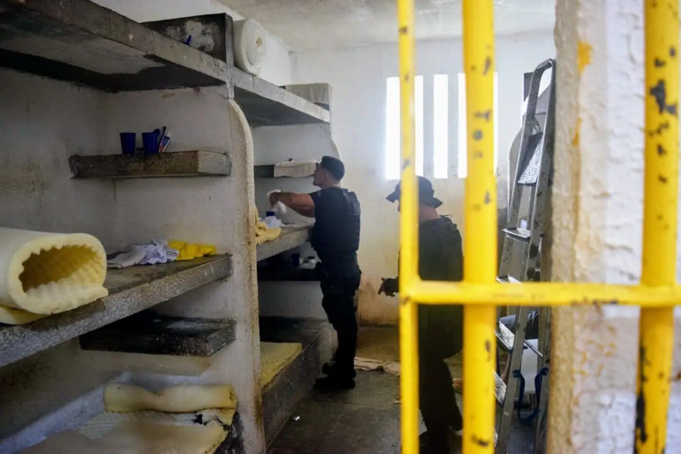 Foto: Rodrigo Pinheiro / Ag.Pará