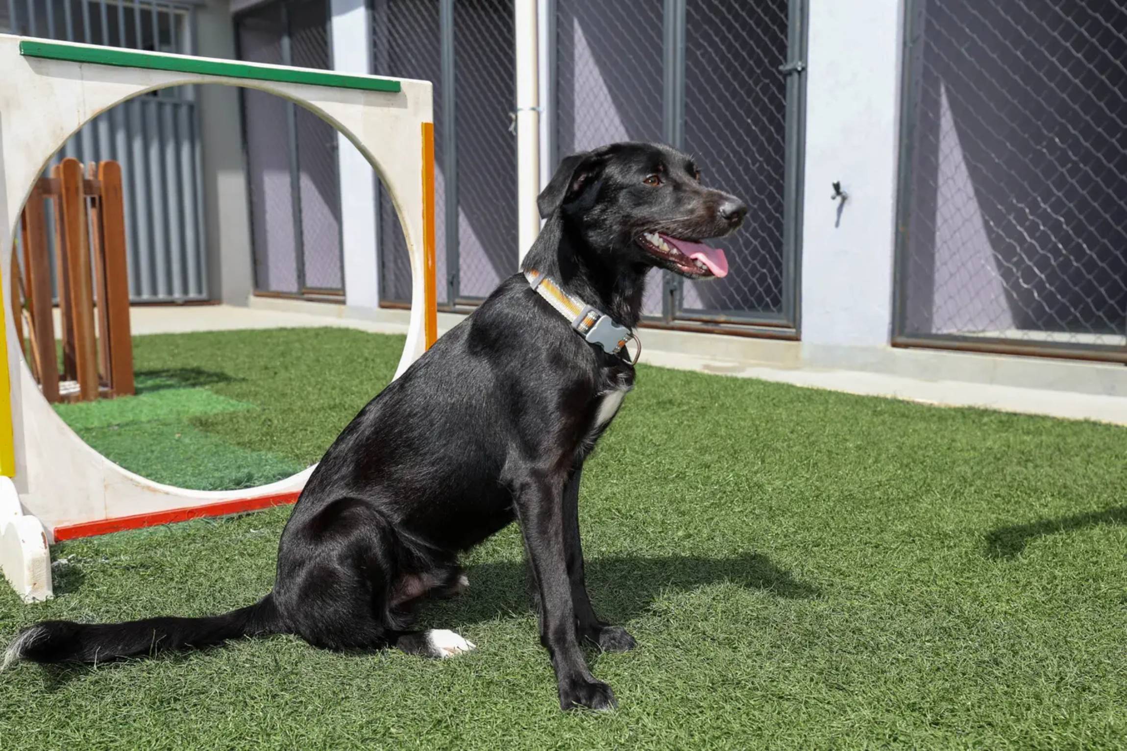 Foto: Bruno Cruz/Ag. Pará