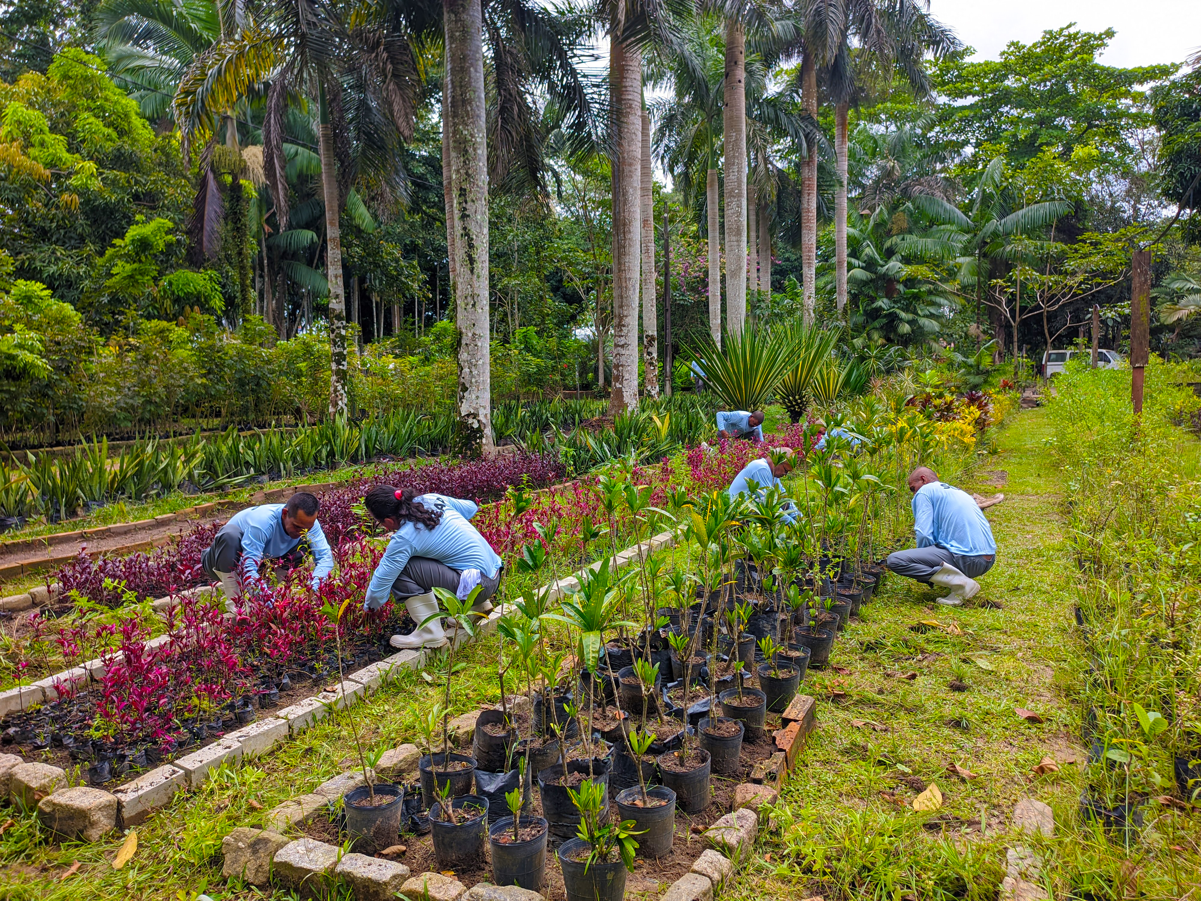 Foto: Amanda Farias - NCS SEAP/ PA