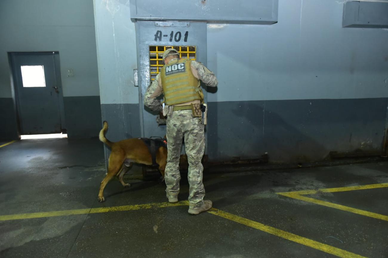 Foto: Uchoa Silva /NCS Seap