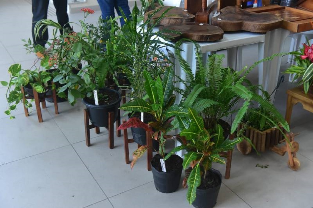 Foto: Ingrid Bandeira/ NCS Seap