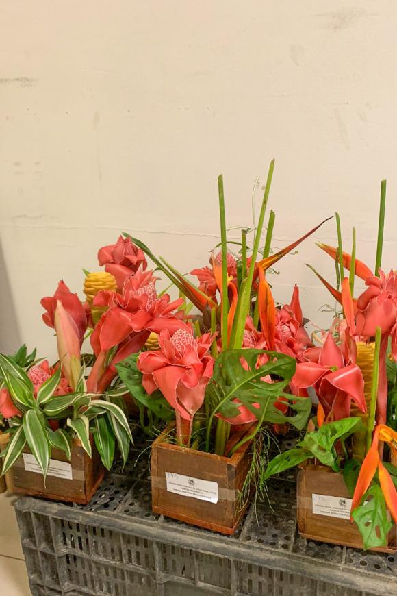 Ingrid Bandeira / NCS Seap