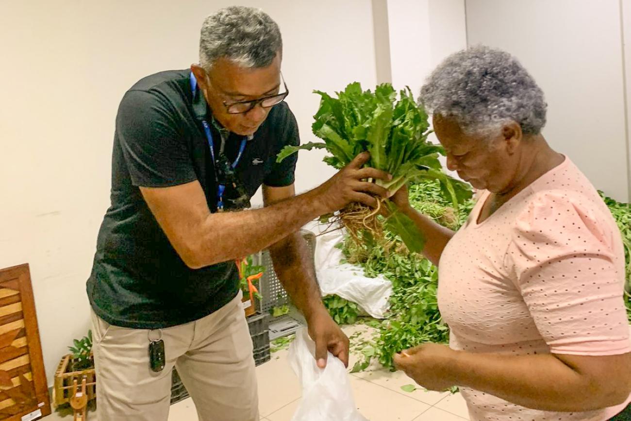 Ingrid Bandeira / NCS Seap