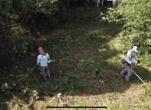 Foto: Flávio Lobos - SEAP/PA