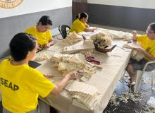 Foto: Flávio Lobos - SEAP/PA