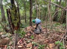 Foto: Flávio Lobo / NCS Seap PA