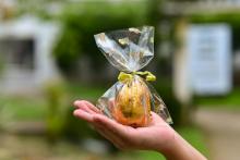 Uchoa Silva / NCS Seap