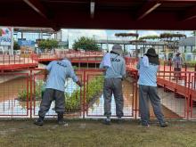 Foto: Thalmus Gama / Ag. Pará