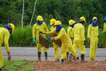Foto: Alexandre Costa/ Ag. Pará 